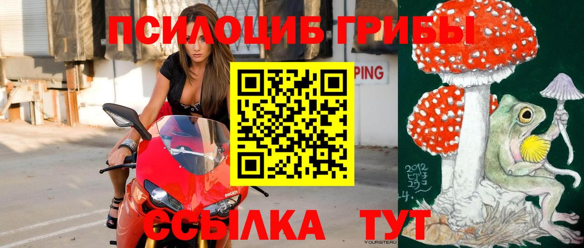 Галлюциногенные грибы Magic Shrooms  наркотики  Ярцево  Вход с VPN  Галлюциногенные грибы GOLDEN TEACHER 