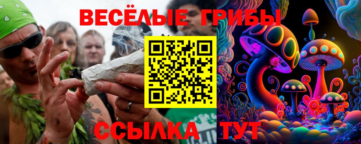 Галлюциногенные грибы GOLDEN TEACHER Ярцево